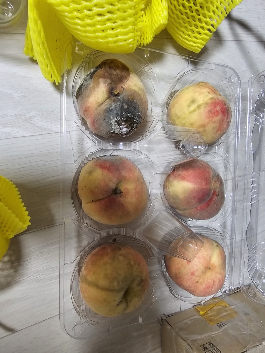 3.불량 복숭아